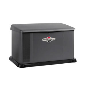 Генератор газовый Briggs & Stratton G310 (25 kW)